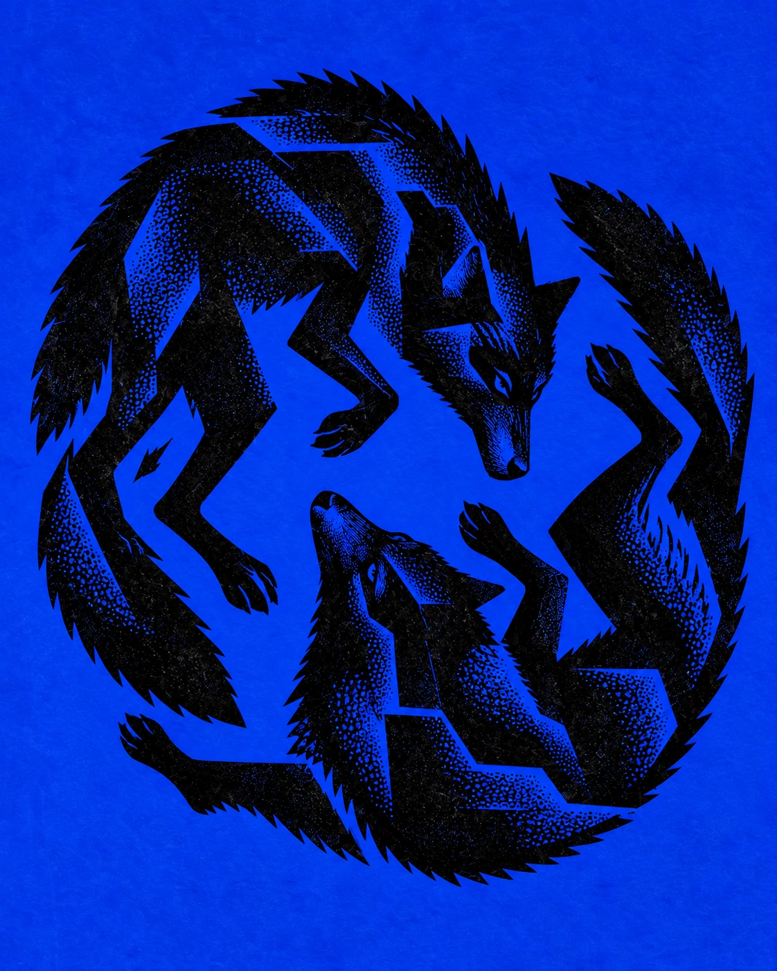 Two black wolves circling together against an electric blue background